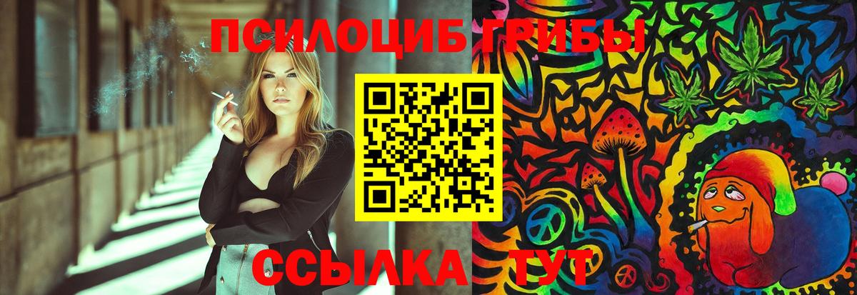 Галлюциногенные грибы MAGIC MUSHROOMS  Вход с VPN  купить наркотик  Гатчина  Галлюциногенные грибы Psilocybine cubensis 